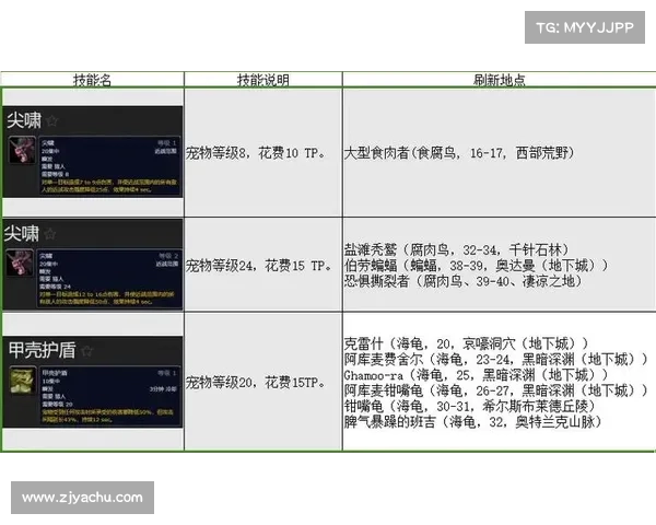 魔兽世界宝宝技能提升攻略 魔兽世界宝宝技能提升攻略